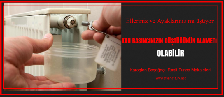 Kan-Basinci-Dusmesi-Maklesi