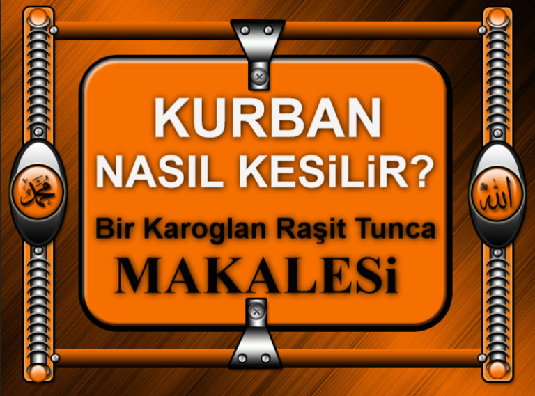 Kurban Nasıl Kesilir Bir Karoglan Raşit Tunca Makalesi