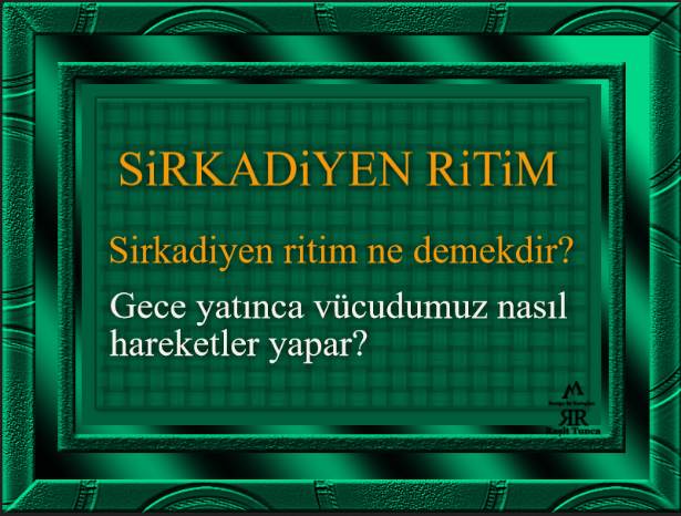 Sirkadiyen ritim ne demekdir, Vucudumuz nasıl çalışır, Gece yatınca vücudumuz nasıl hareketler yapar