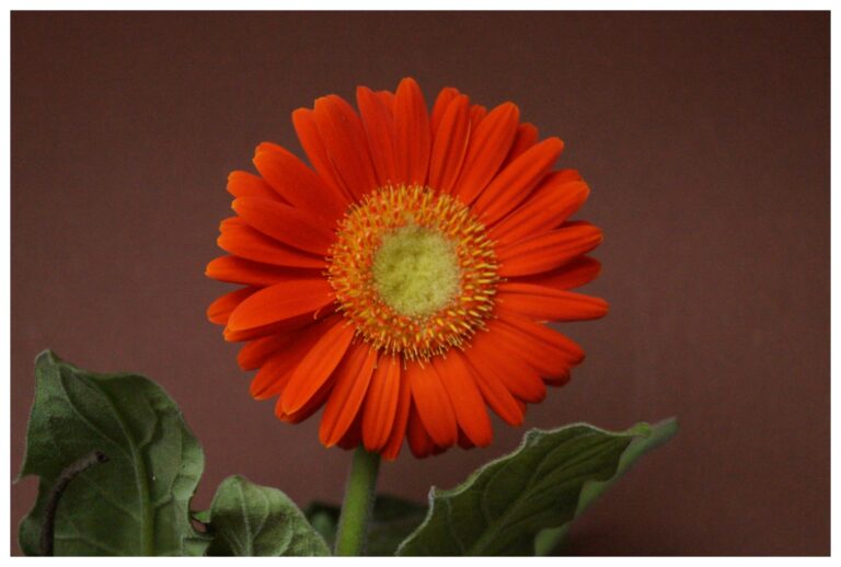 Fotograf-Makinemin-Kadranindakiler-Karisik-Guzel-Resimler-V051020221903-N165