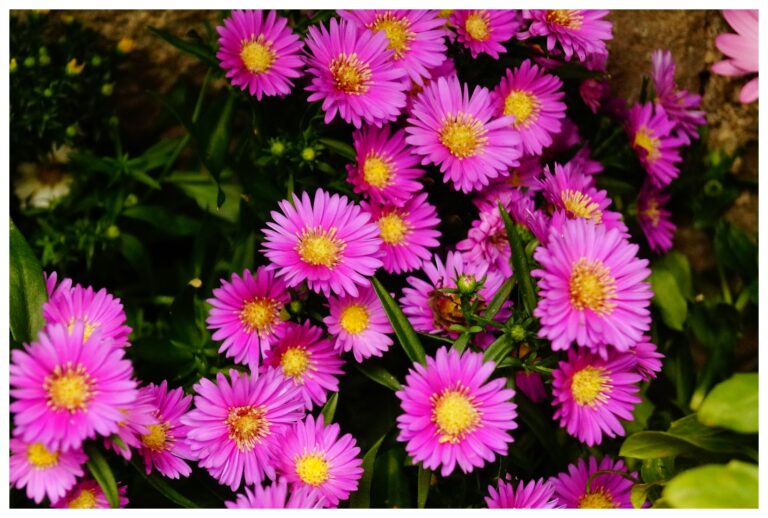 Fotograf-Makinemin-Kadranindakiler-Karisik-Guzel-Resimler-V051020221903-N293