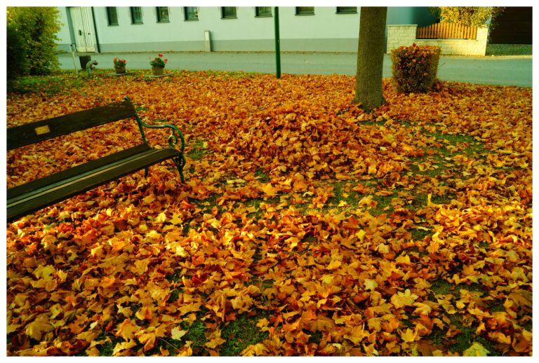 Fotograf-Makinemin-Kadranindakiler-Karisik-Guzel-Resimler-V191020221903-N710