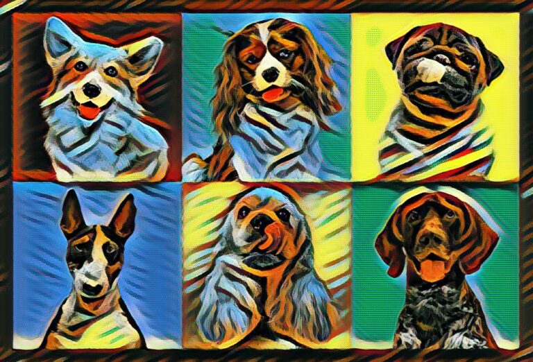 Köpek Cinsleri Türleri - 1