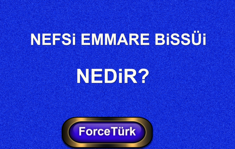 Nefsi Emmare Bissüi Nedir