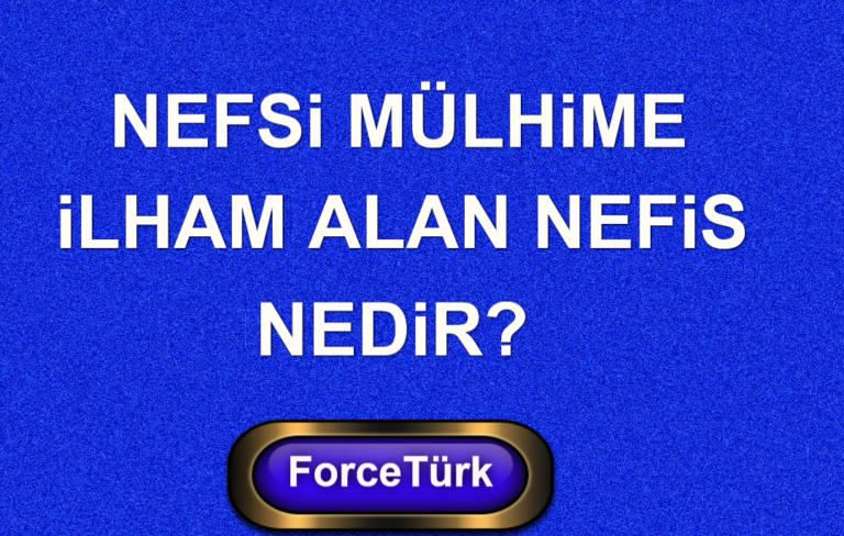 Nefsi Mühime Nedir