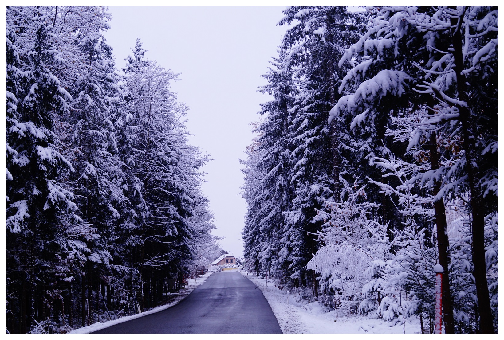 Kış ve Kar Manzarası | Doğa Manzarası | Nature | V191120221903