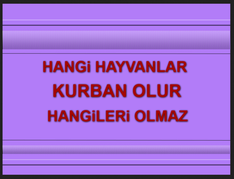 Hangi hayvanlardan kurban olur hangileri olmaz