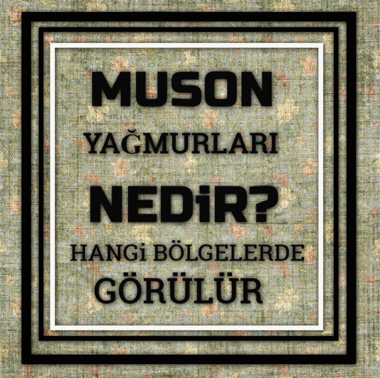 Muson Yağmurları Nedir Nerelerde Görülür