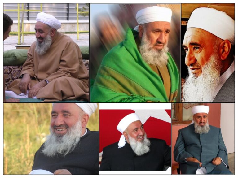 Seyyid Fevzettin Hüseyni  - V180220231903