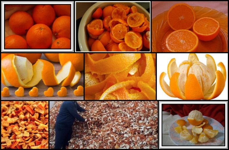 Ağız Kuruluğu Sebebleri ve Tedavisinde Portakal Kabuğu 171120220713-N1