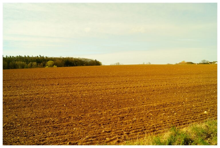 Fotograf-Makinemin-Kadranindakiler-Karisik-Guzel-Resimler-V130420230545-N75