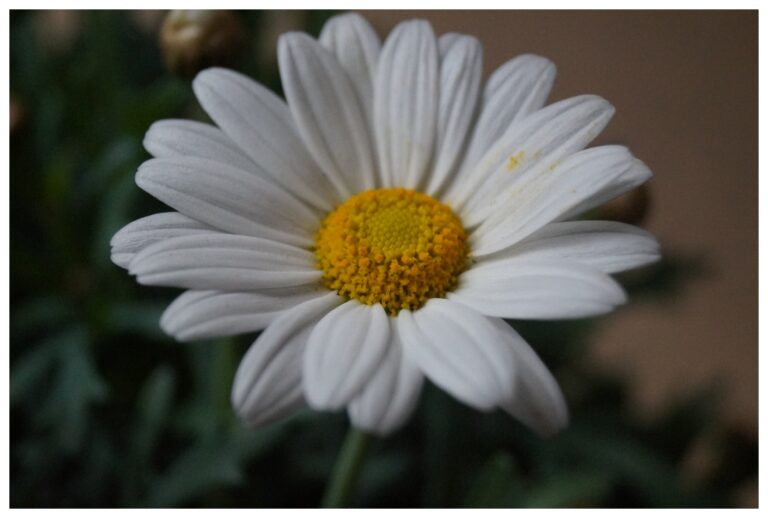 Fotograf-Makinemin-Kadranindakiler-Karisik-Guzel-Resimler-V140420230545-N71