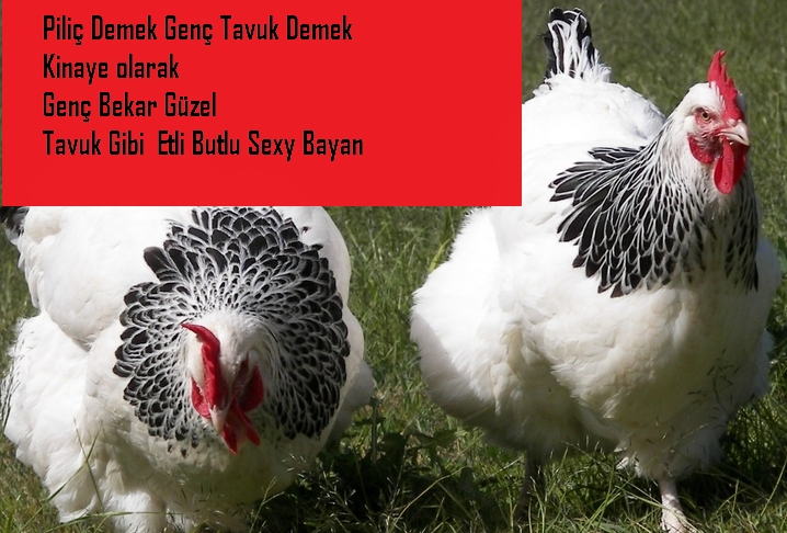 Screen-Bild-V02122022-144607-N001