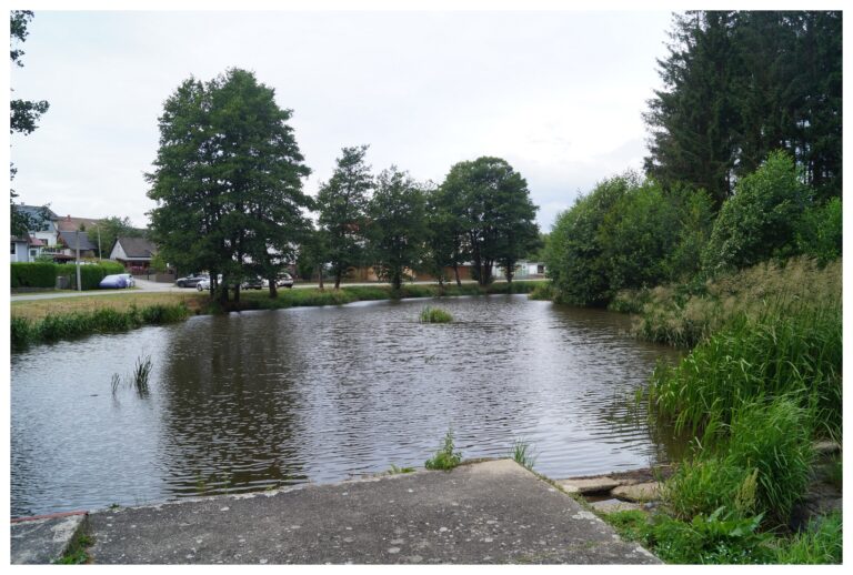 Çay ve Yeşillik - Bach