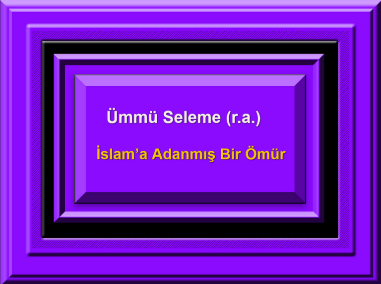 Ümmü Seleme