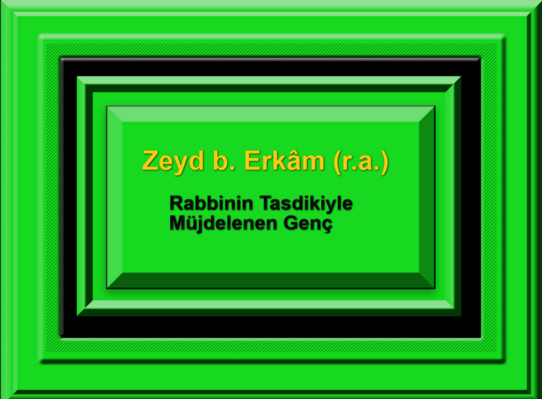 Zeyd b Erkâm