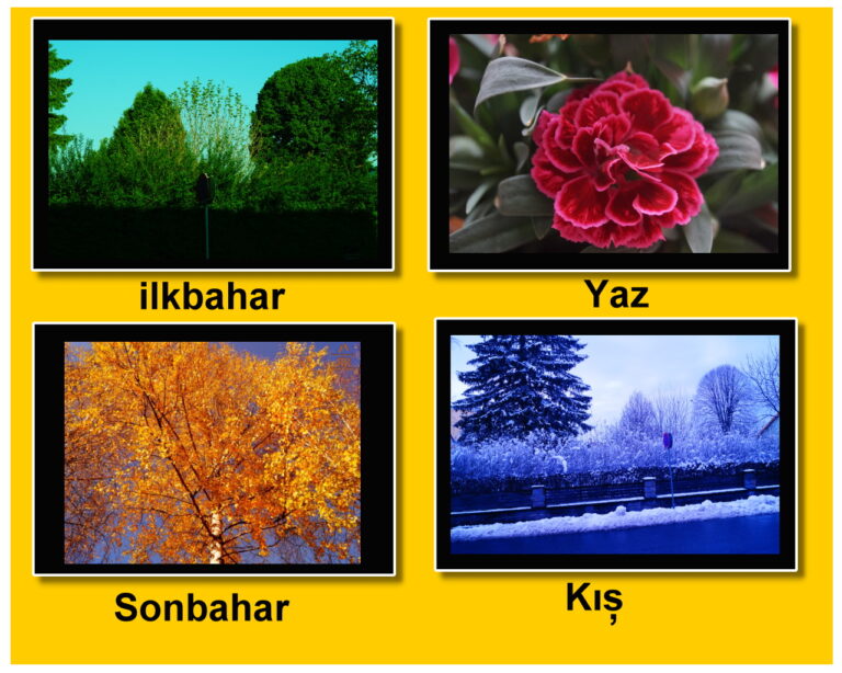 20210725221406-5b60c60b