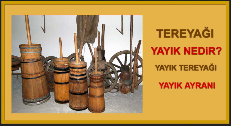 Tereyağı Nedir Tereyağı Çeşitleri Yayık Nedir Yayık Tereyağı Yayık Ayran