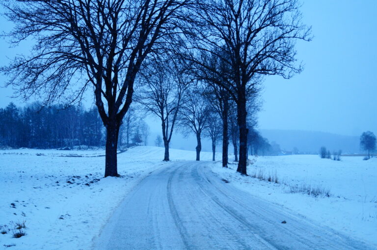 Kar Kış Manzarası Doğa Manzarası - Snow