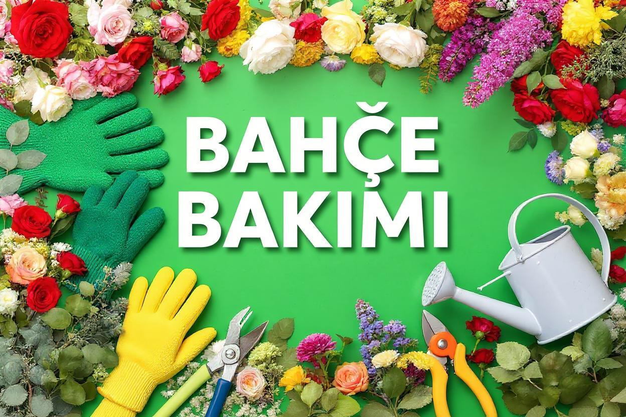 Güller, çiçekler ve bahçe bakımı hakkında pratik bilgiler