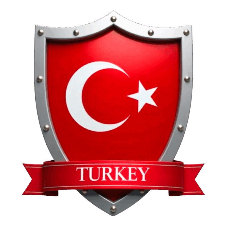 PNG Türk Bayrağı Amblemi V160820251412-N10