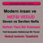Nefsin Yeni Bir Katmanı Nefs-i Vedûd - Yedi Seviyeden Sekizinciye Bir Yorum