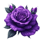 PNG Purple Vector Rose  V080620260130-N1
